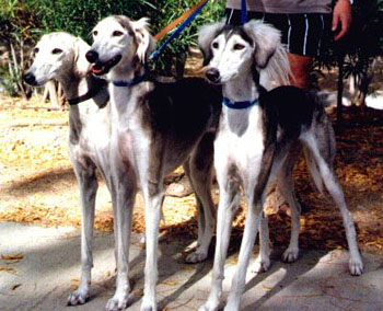 Jadhaba with her sisters