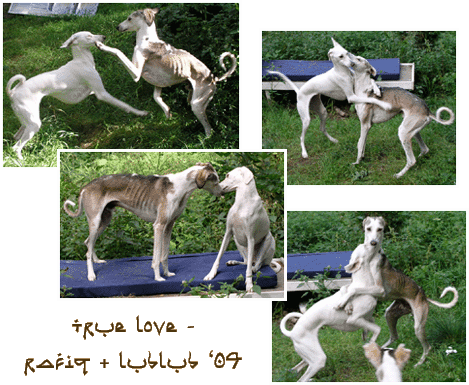 True Love - Rafiq & Lublub in summer 2004
